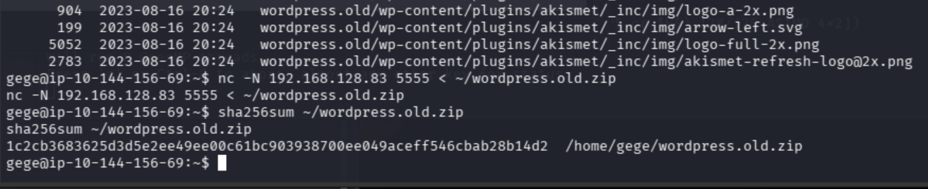 WordPress archive transfer and SHA-256 verification